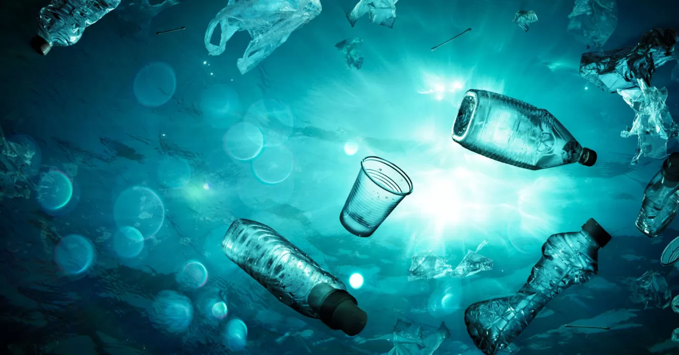 Eco-Recyers-PET-Recyling Eco Recyclers PET Recycling